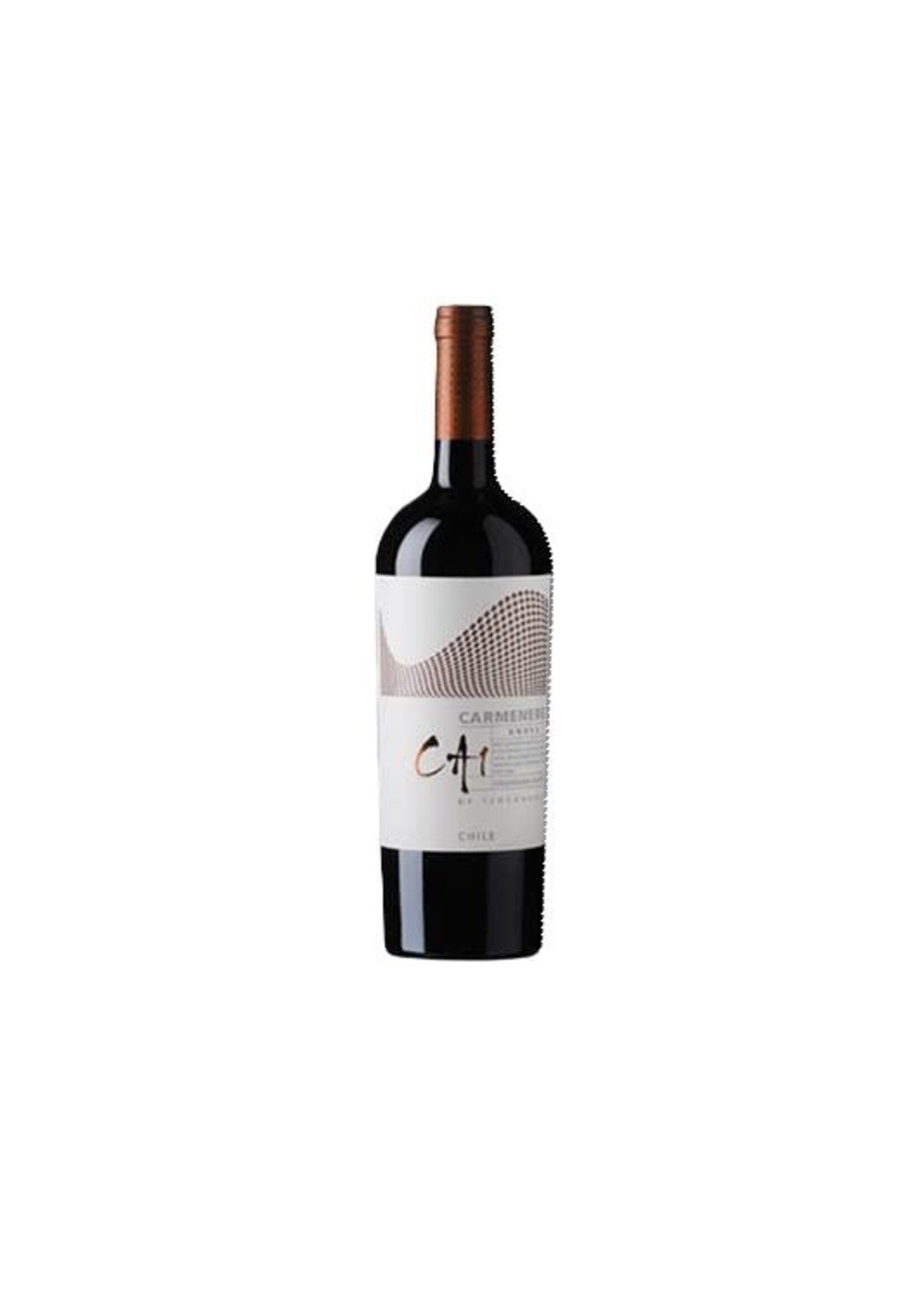 TerraNoble TerraNoble CA1 2013 Carmenera Andes 75 cl