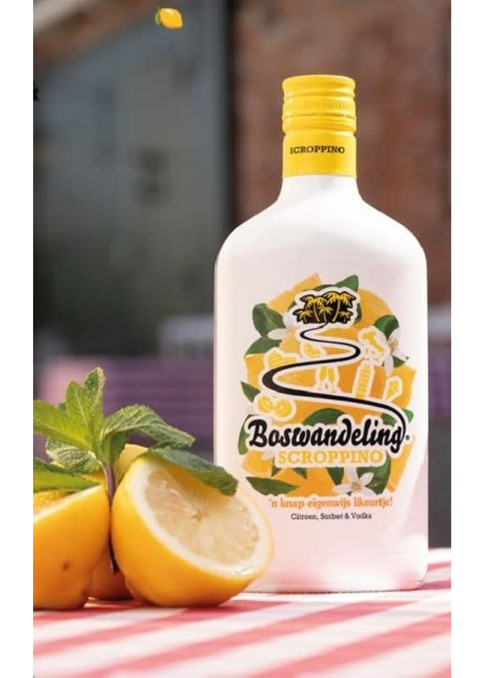 Fls Company Boswandeling Scroppino 70 cl