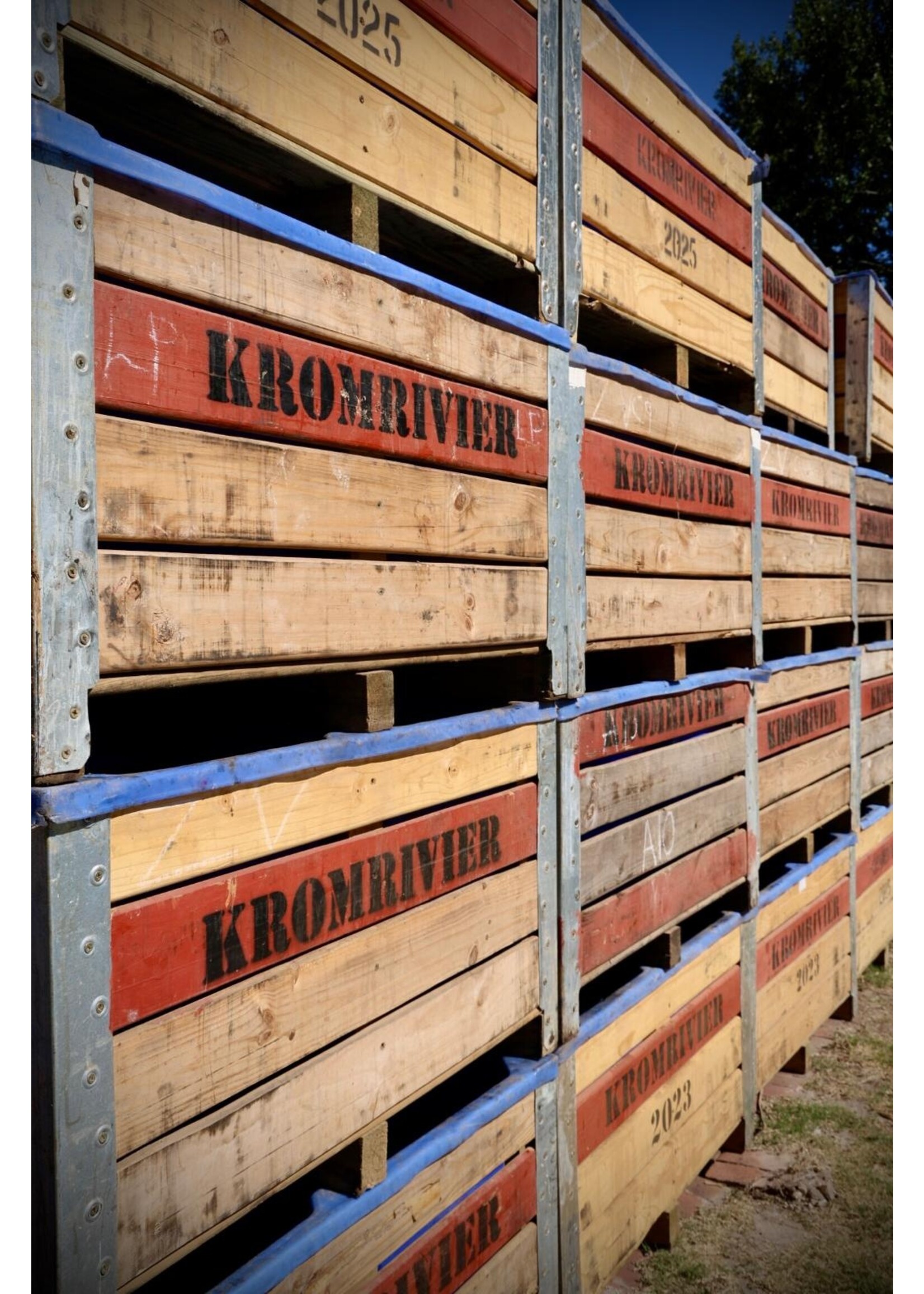 Zorgvliet Zorgvliet Cabernet Franc Rosé 75 cl