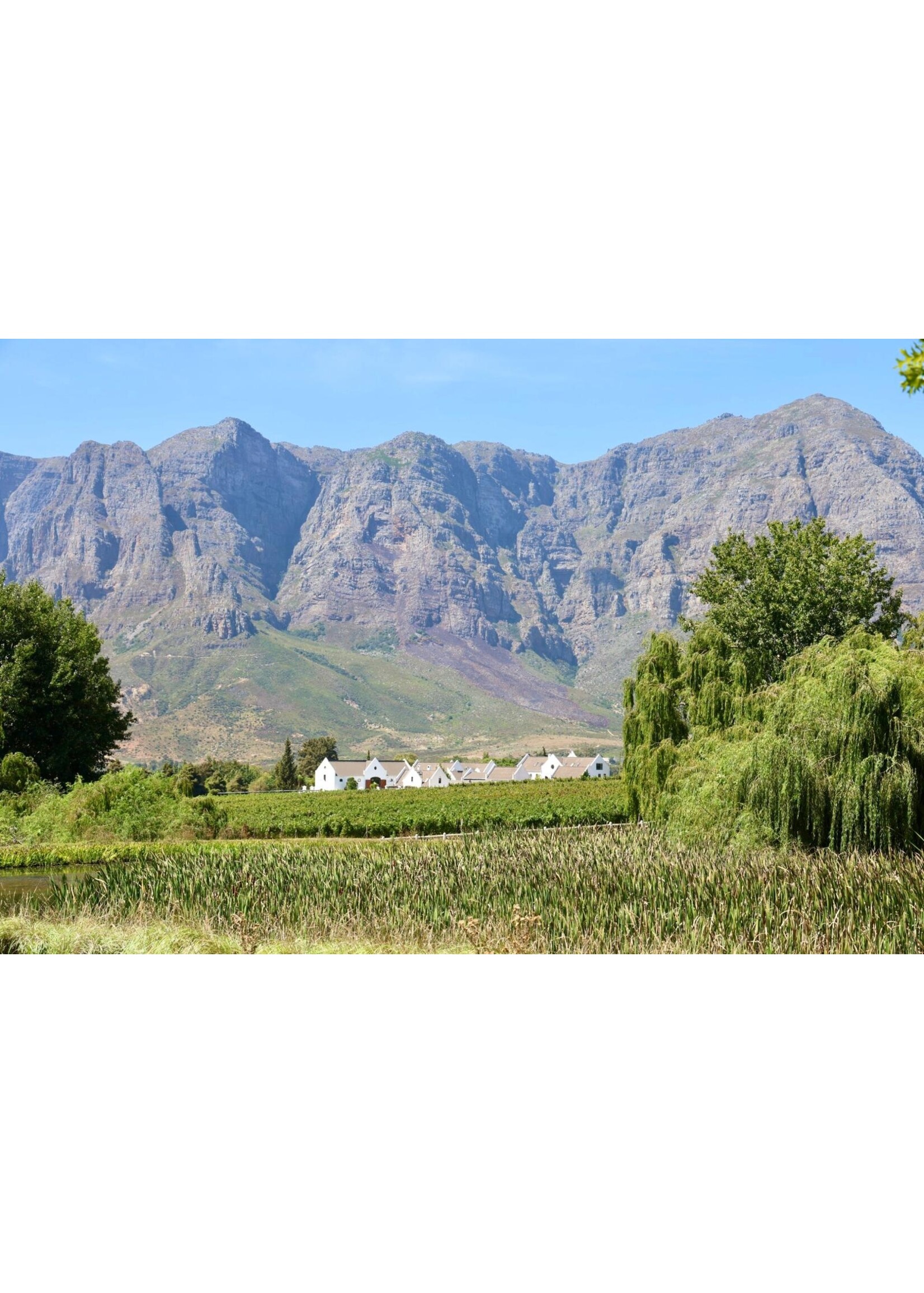 Zorgvliet Zorgvliet Merlot 75 cl