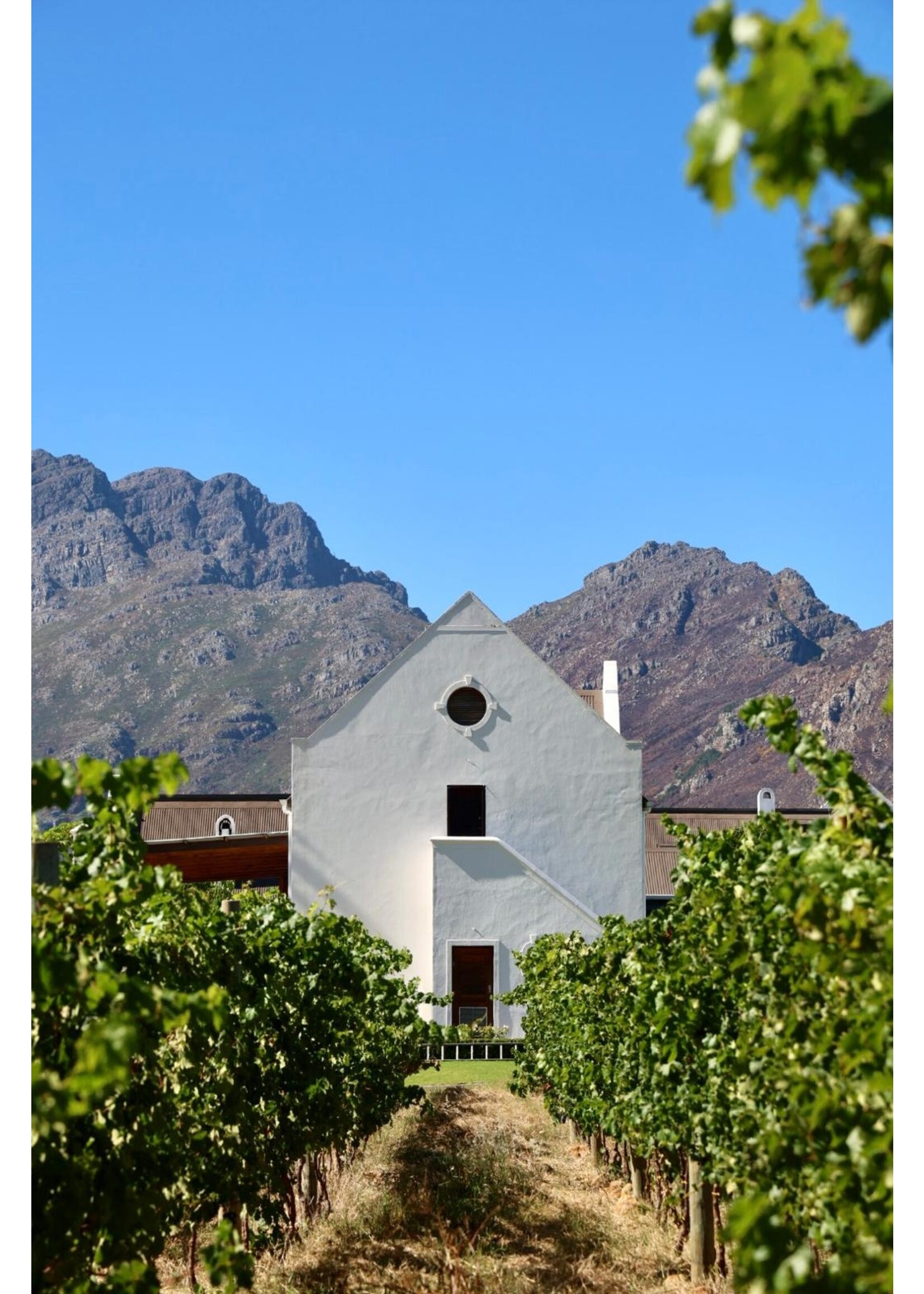 Zorgvliet Zorgvliet Merlot 75 cl