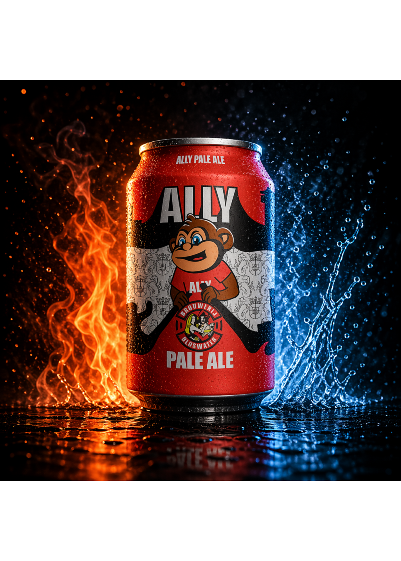 Brouwerij Bluswater Brouwerij Bluswater ALLY Pale Ale 33 cl