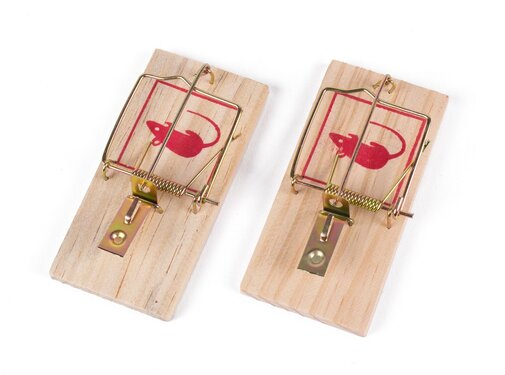 Benson Muizenval 2 dlg - Houten Muizenklem - Efficiënte Muizenbestrijding