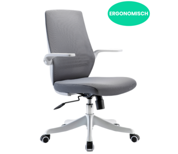 Starrydays Ergonomische Bureaustoel Comfort - Bureaustoelen voor Volwassenen – Bureaustoel met Wieltjes - Grijs