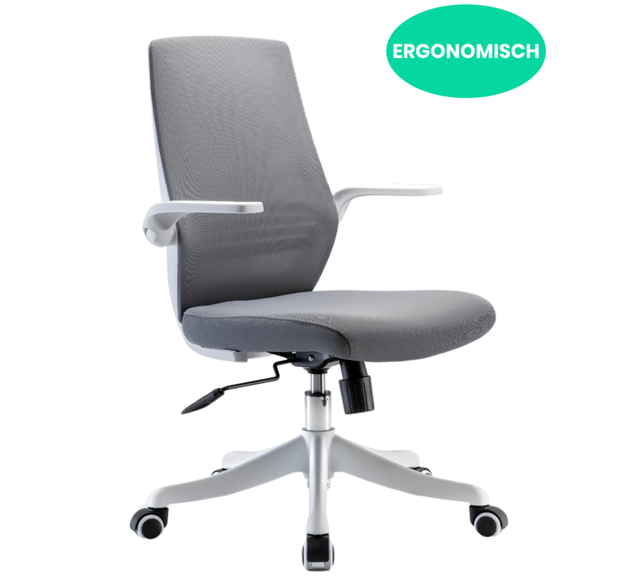 Ergonomische Bureaustoel Comfort - Bureaustoelen voor Volwassenen – Bureaustoel met Wieltjes - Grijs