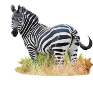 Madd Capp I Am Puzzle Poster Size - Zebra 1000pcs