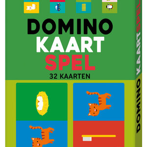 Spelend leren Domino