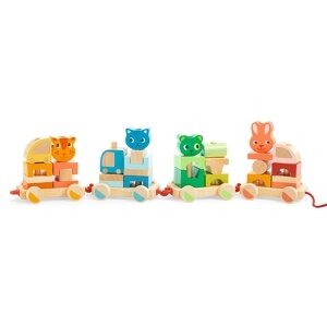 Djeco Crearoule blokkentrein Djeco Crearoule blokkentrein