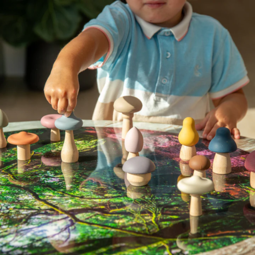 Tickit SiliSoft® Paddenstoelen Set (Aarde)