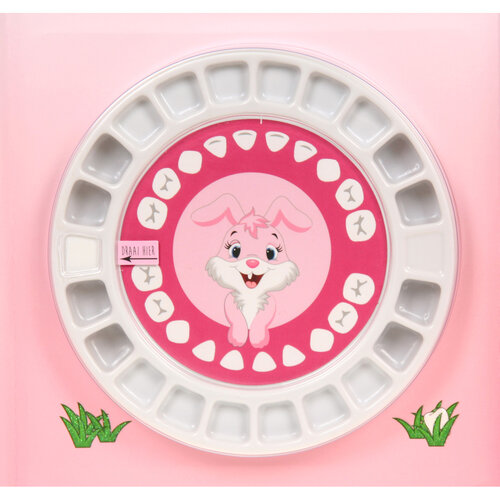 Tandenboekje 'Stampertje'