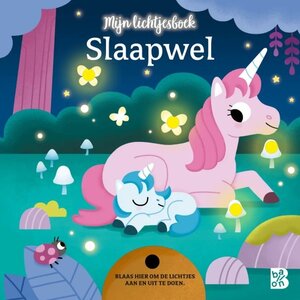 Ballon Uitgeverij Lichtjesboek: Slaapwel (+1j)