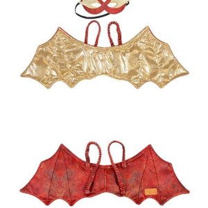 Souza rode draak vleugels en masker