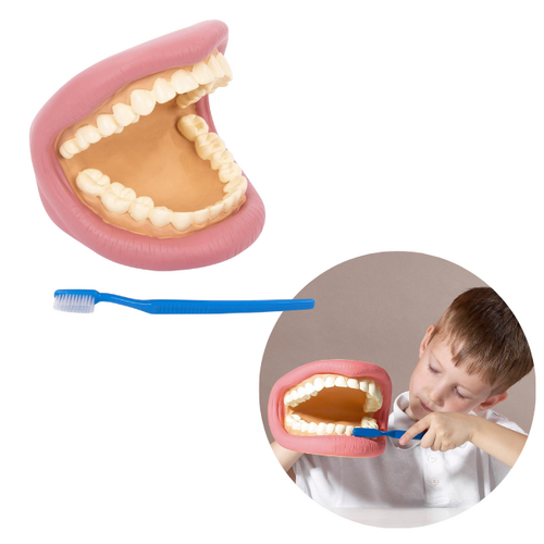 Tickit Reuze Tanden Demonstratieset