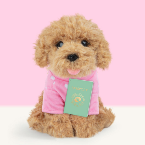 Studio Pets Studio Pets - Plush Cookie (23cm)