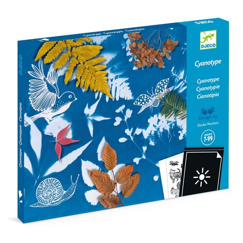 Djeco Knutseldoos - Atelier Cyanotype 'Starterkit'