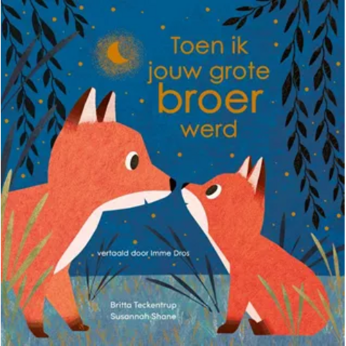 Prentenboek "Toen ik jouw grote broer werd"