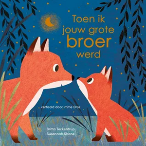 Prentenboek "Toen ik jouw grote broer werd"