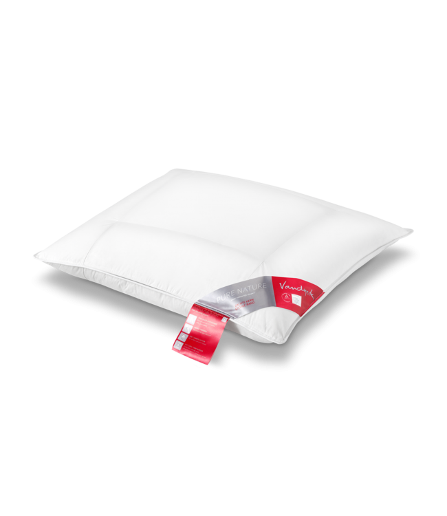 Vandyck Hoofdkussen Pure Nature dons