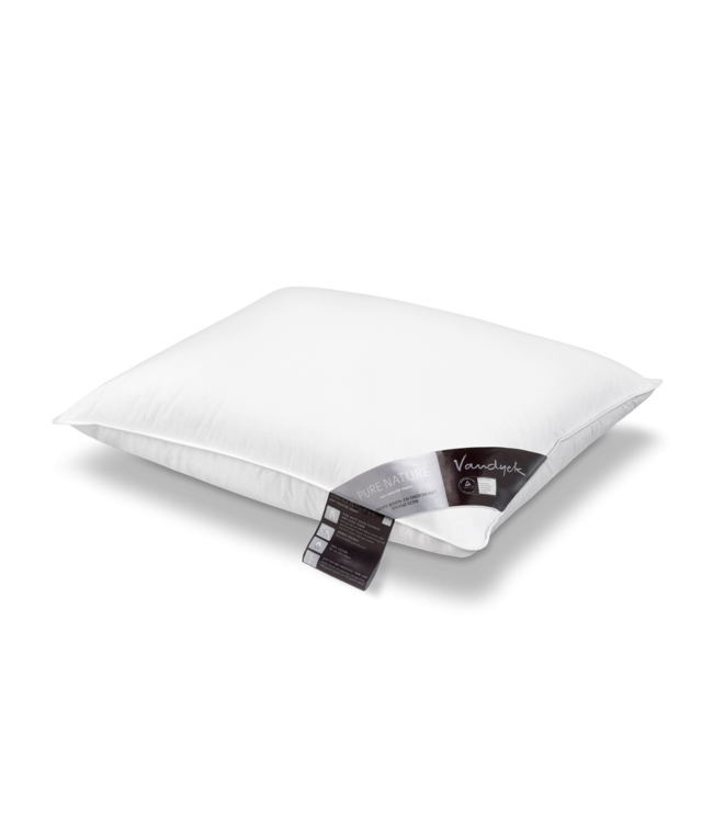Vandyck Hoofdkussen Pure Nature dons