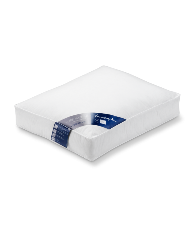 Vandyck Hoofdkussen Pure Nature dons