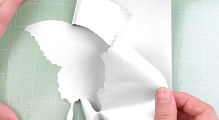 Verwijder de overtollige witte flexfolie van de achterkant met de hand.
