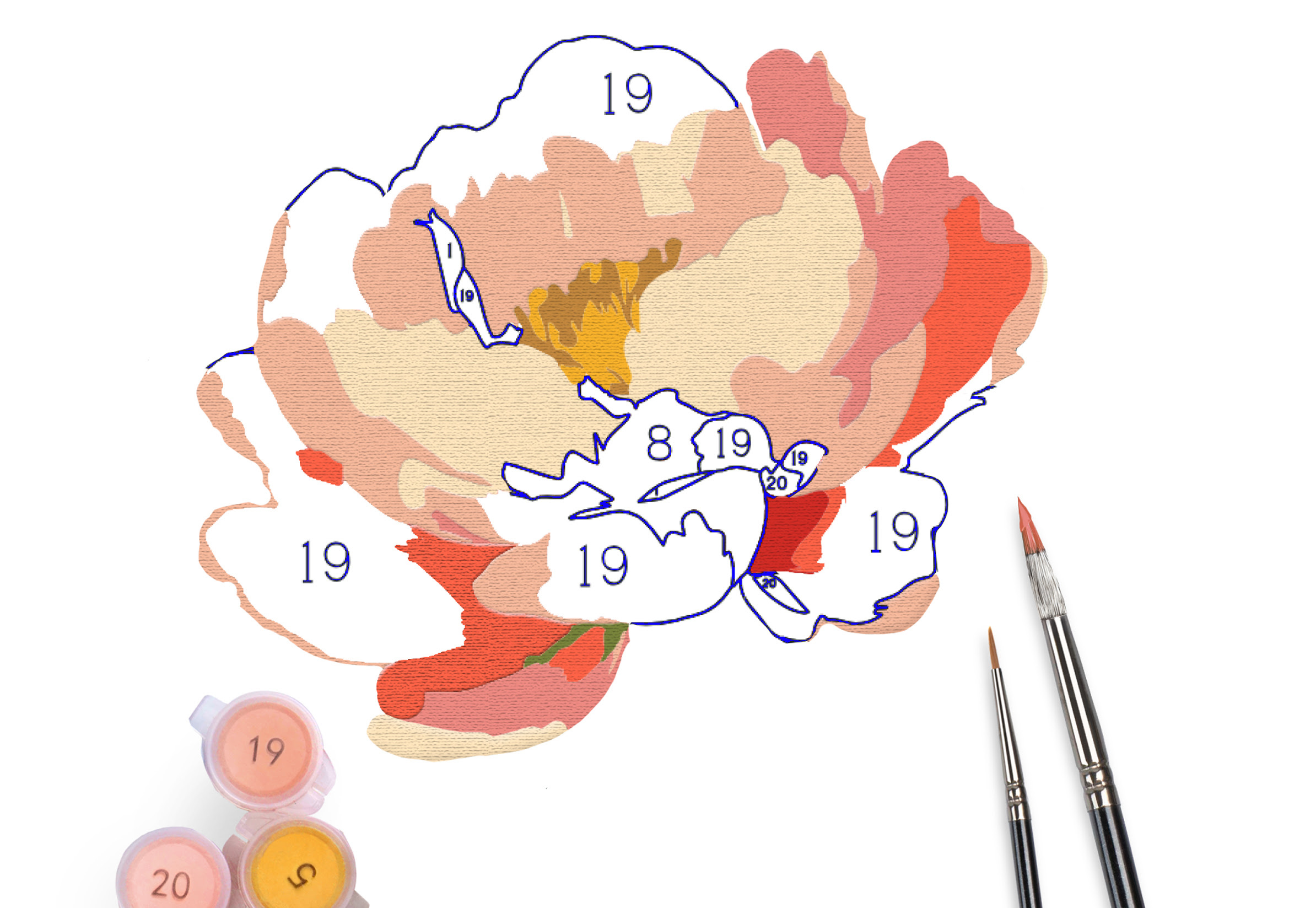 Paint-by-numbers ontwerp van een bloem tegen een witte achtergrond. Sommige delen zijn al geverfd. Er zijn drie kleine potjes verf met een nummer op het deksel en twee kwasten.