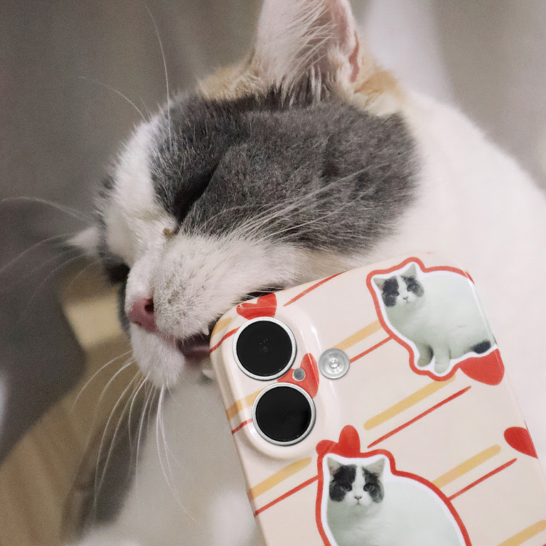 White and grey cat biting on a heat pressed phone case which has pictures of the same cat on it.