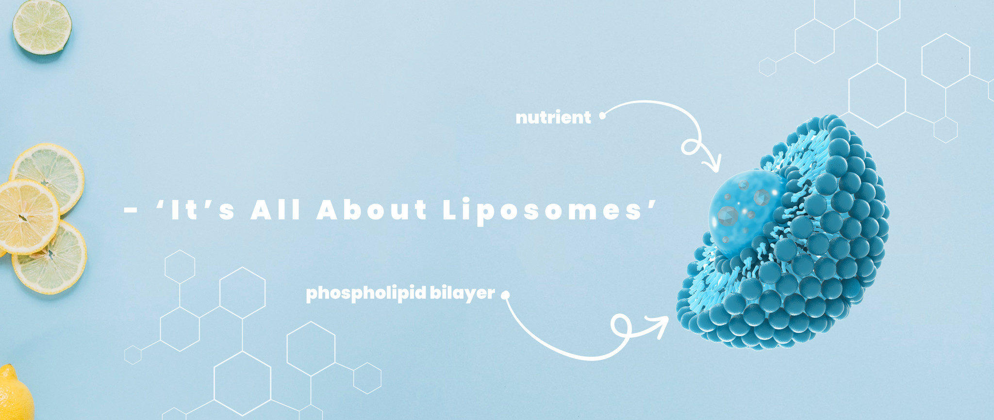 What are liposomes? 