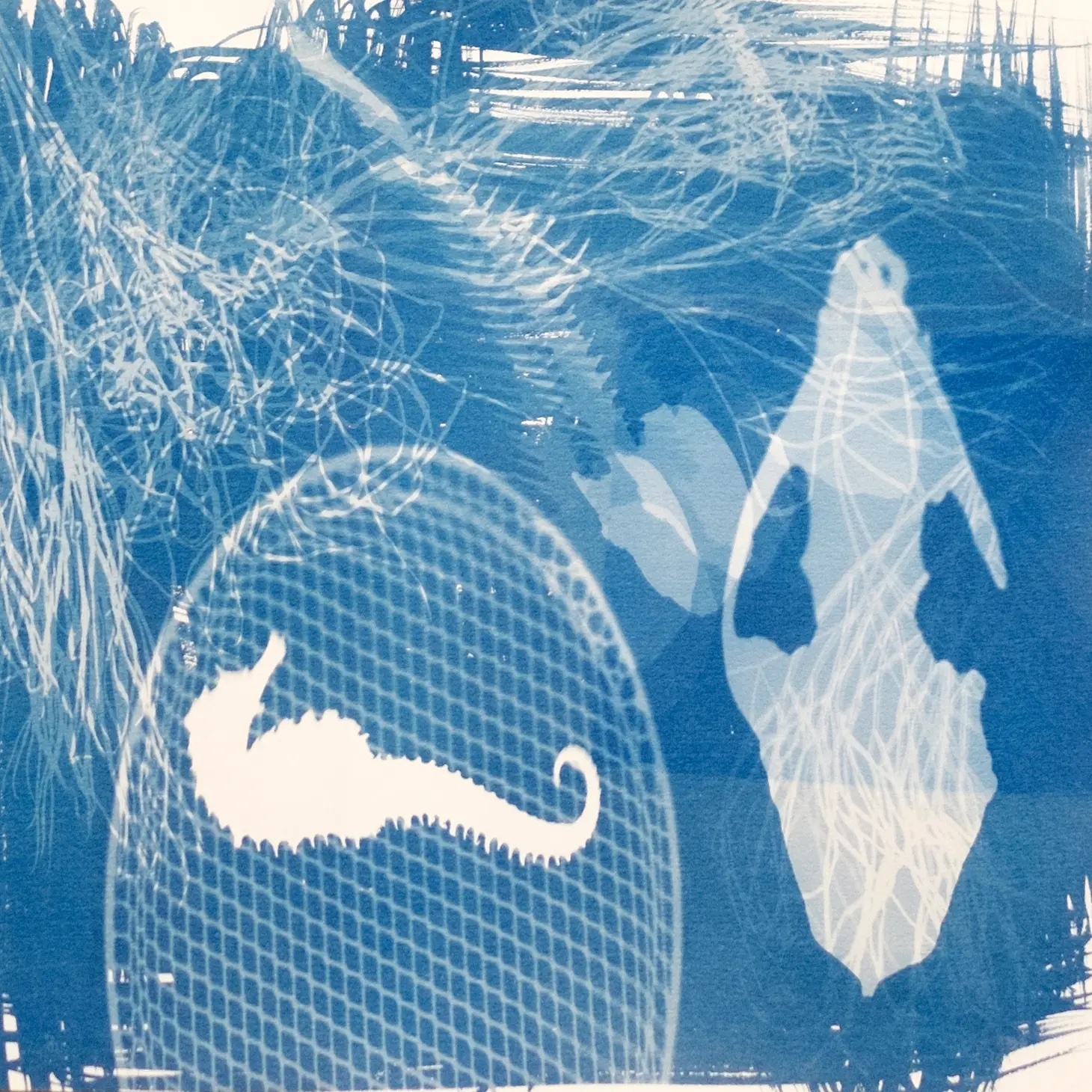 Cyanotypie DIY Kit / beschichtete Blätter