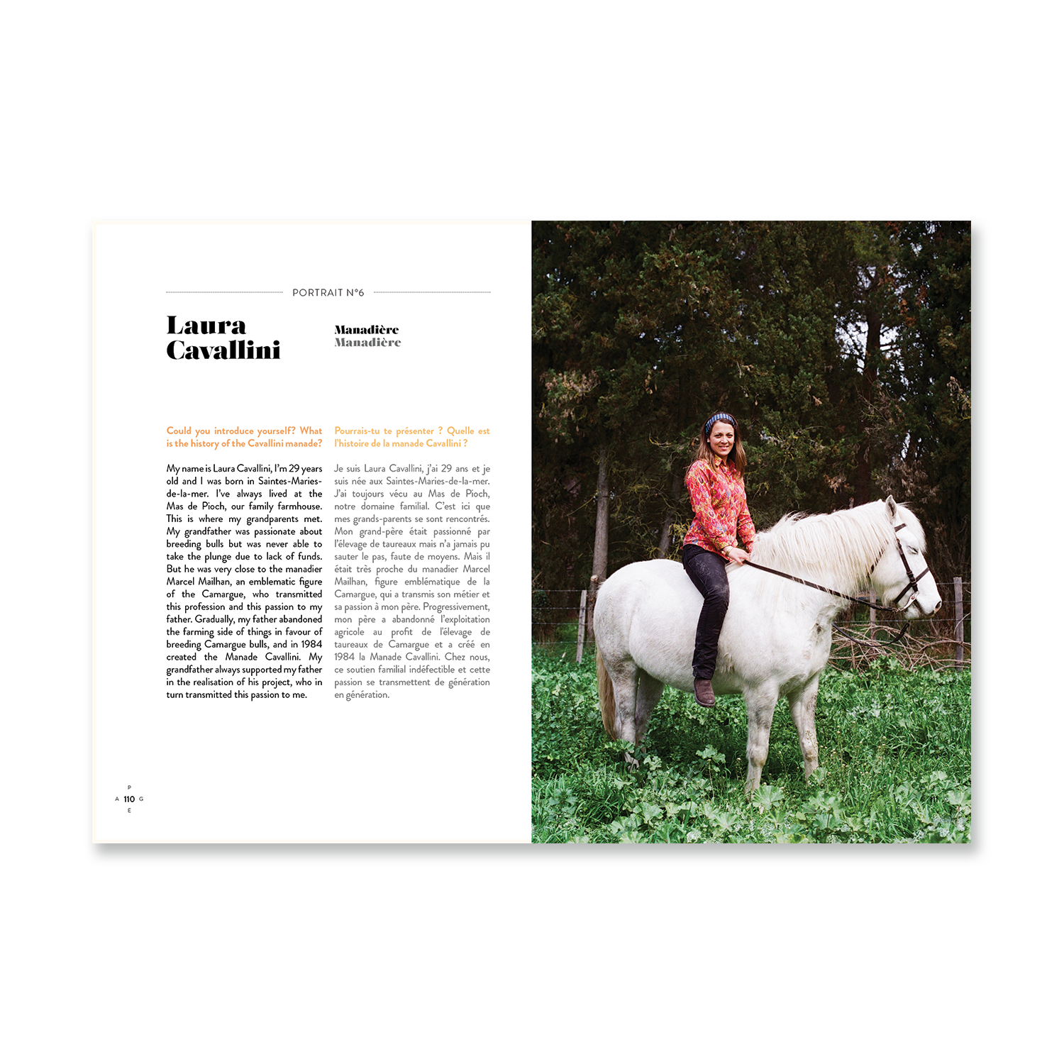 A WEEK ABROAD Reiseführer Arles & Camargue