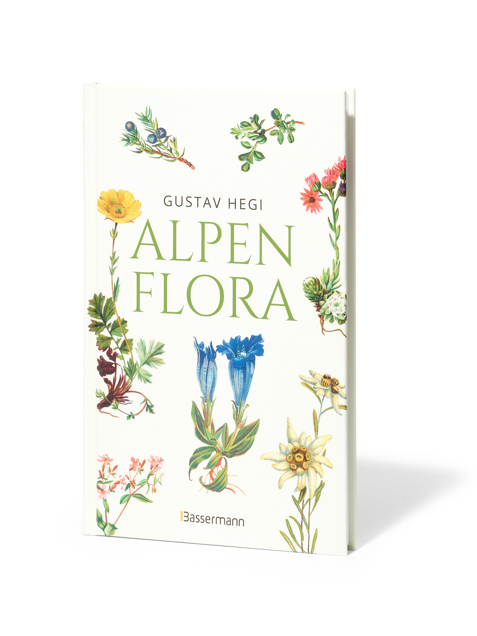Alpenflora