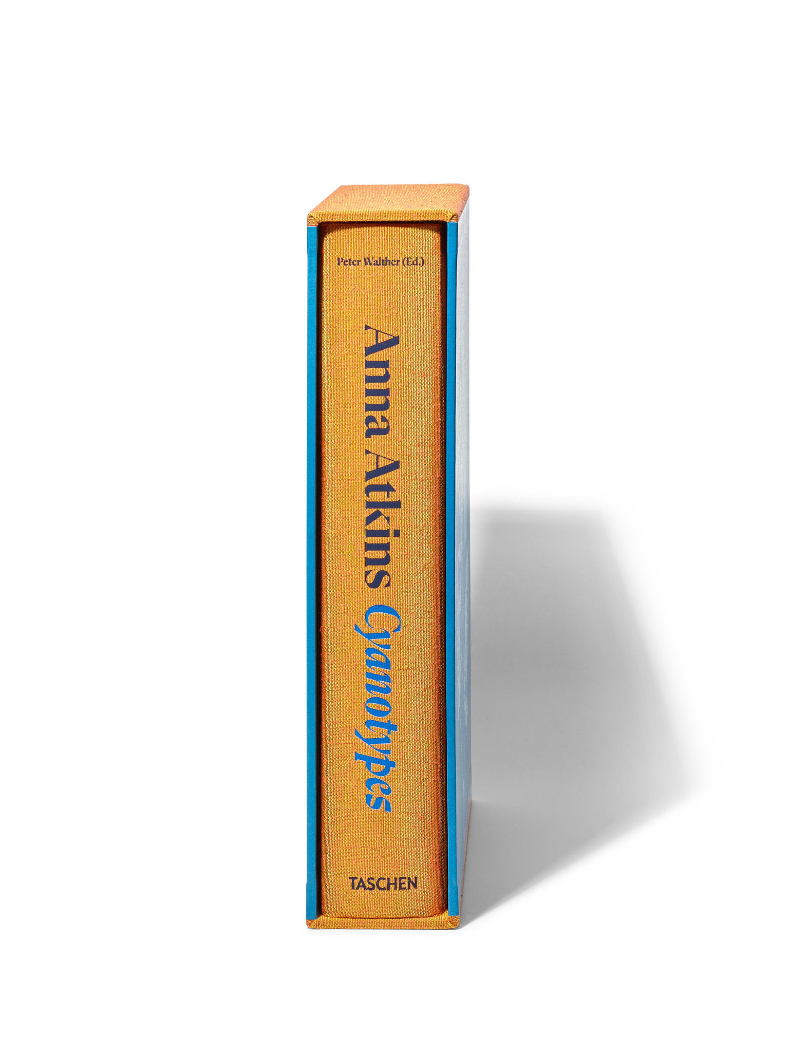 Anna Atkins Cyanotypes