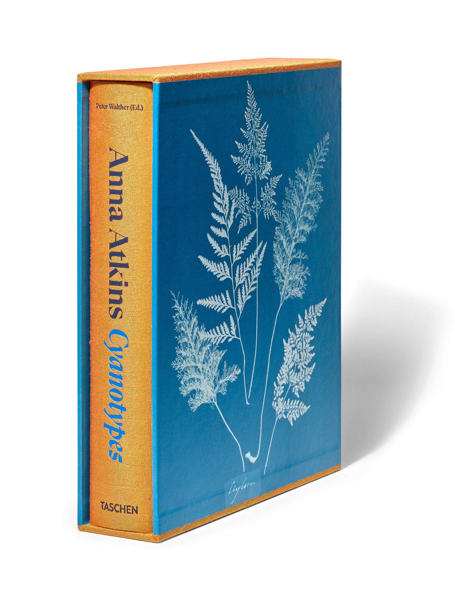 Anna Atkins Cyanotypes