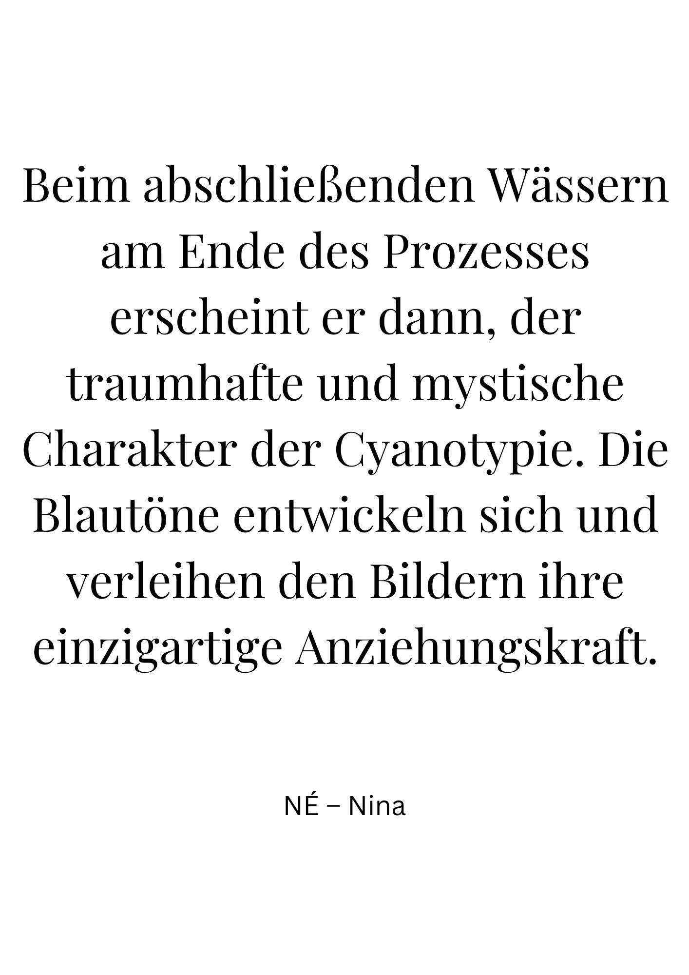 NÉ – bonne nouvelle