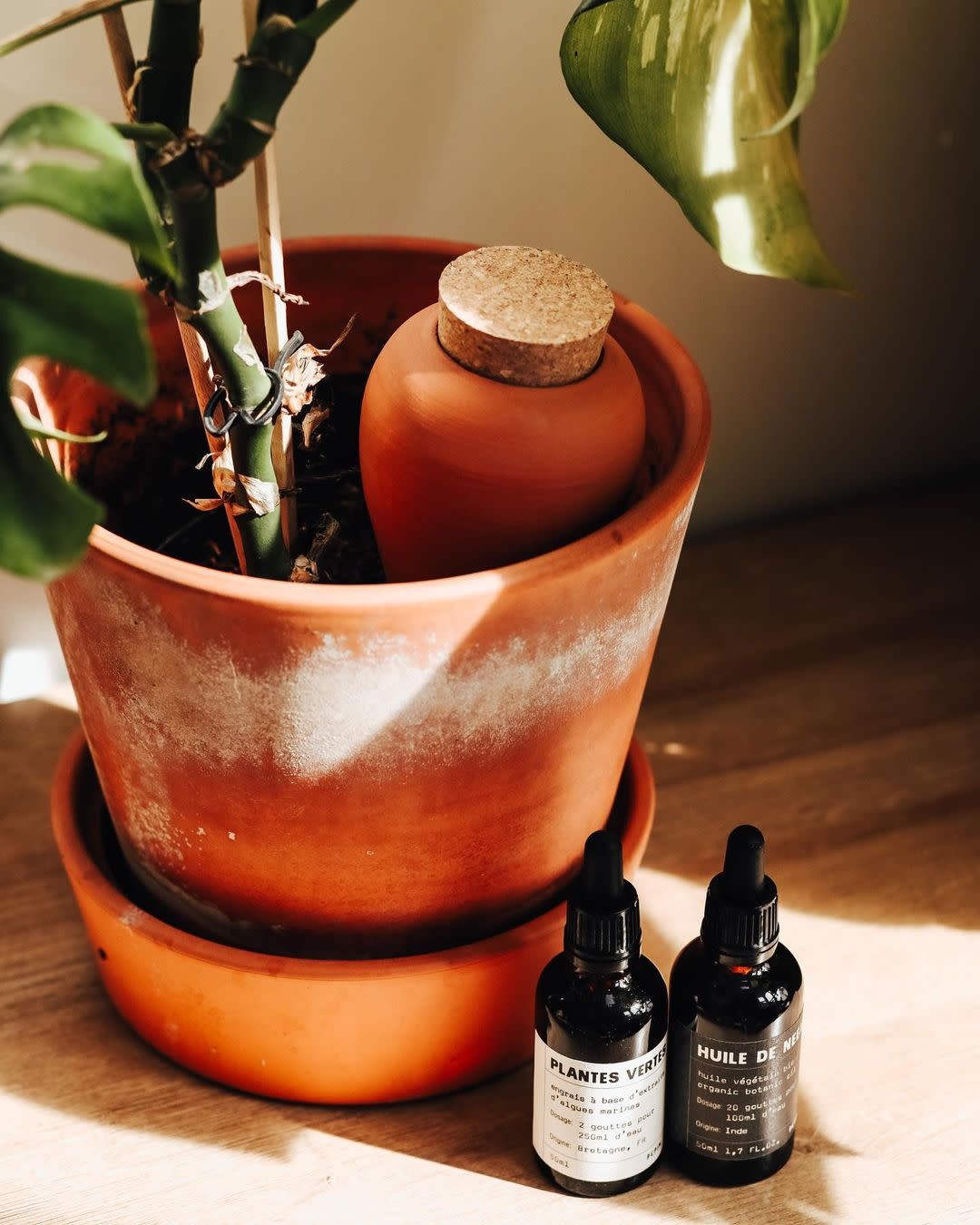 Oya, Wasserspender aus Terrakotta