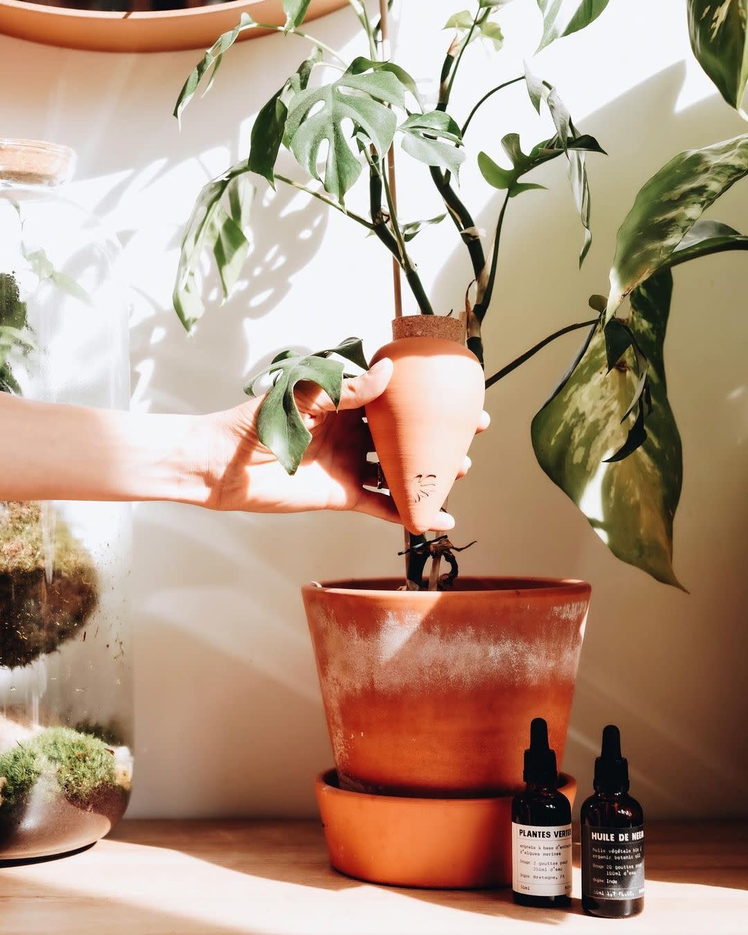 Oya, Wasserspender aus Terrakotta