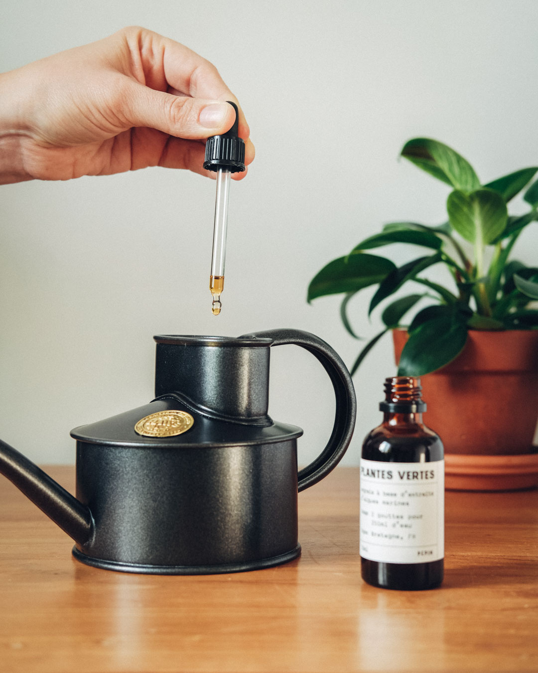 Pflanzennahrung / Dünger für Zimmerpflanzen