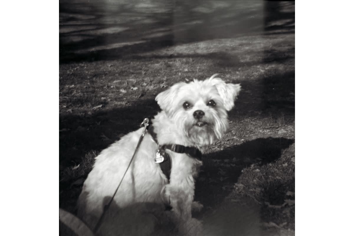 LOMOGRAPHY LomoMod No1 DIY Kamera Kit