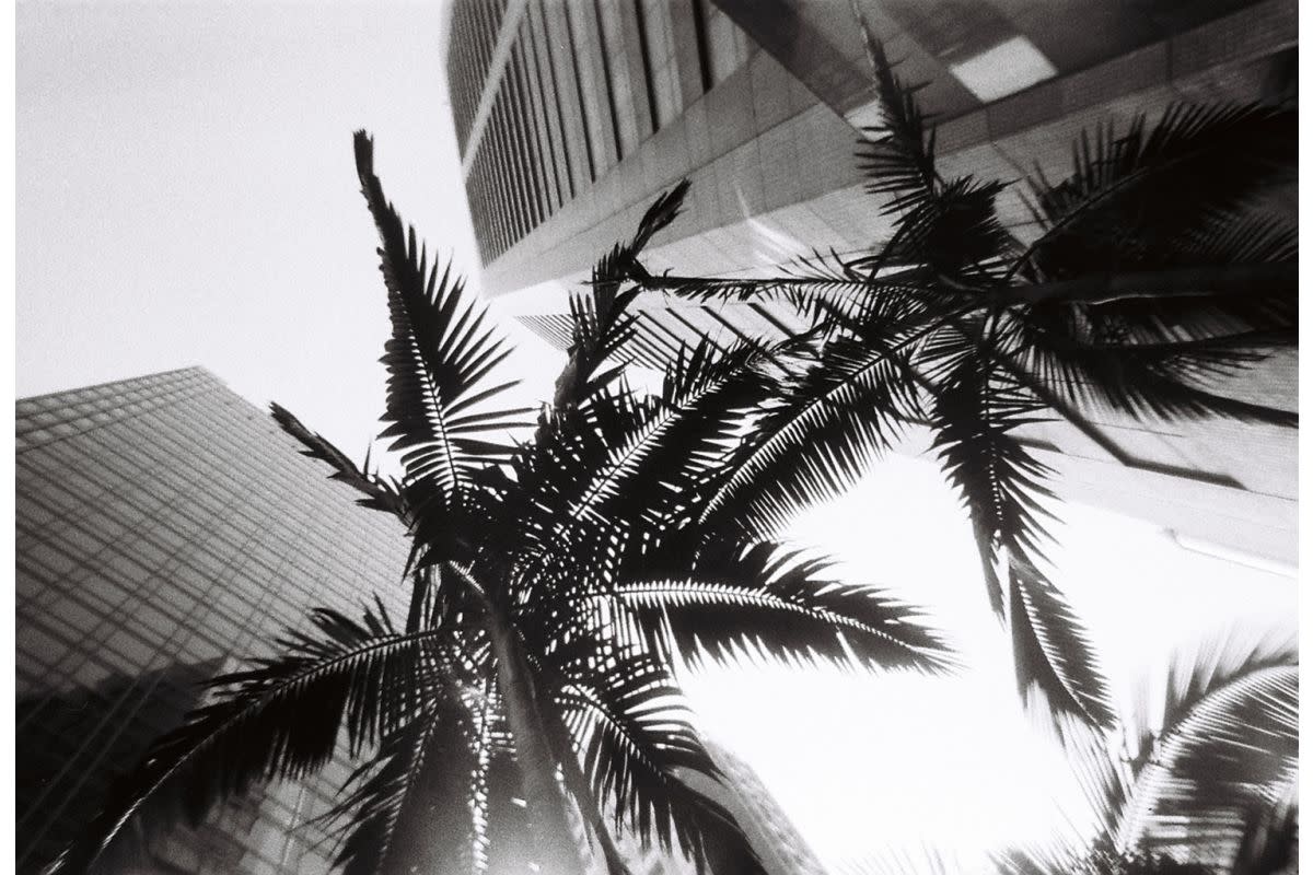 LOMOGRAPHY Simple Use Reloadable Film Kamera B&W