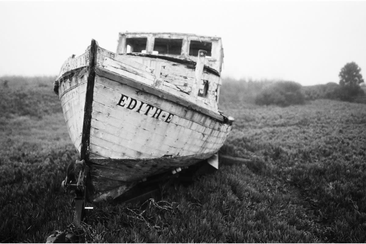 LOMOGRAPHY B&W 100 35mm Potsdam Kino Film