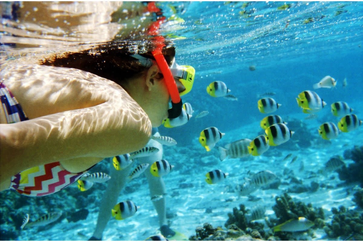 LOMOGRAPHY 100/36 Color Negative Film, Dreierpack