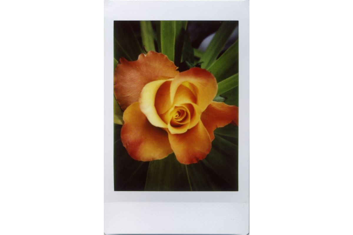 Fuji Instax Mini Film