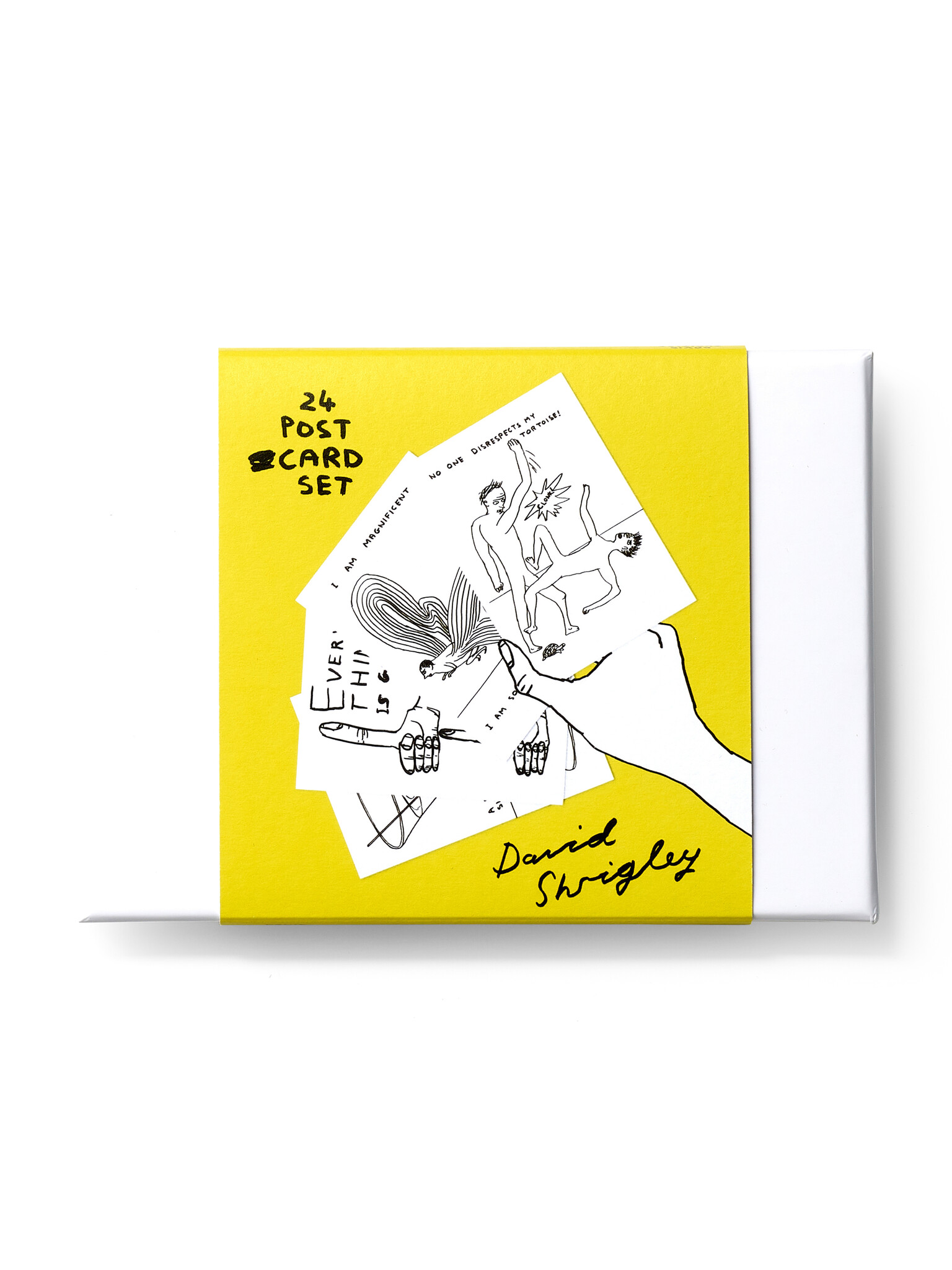 DAVID SHRIGLEY Postkartenset in Geschenkbox