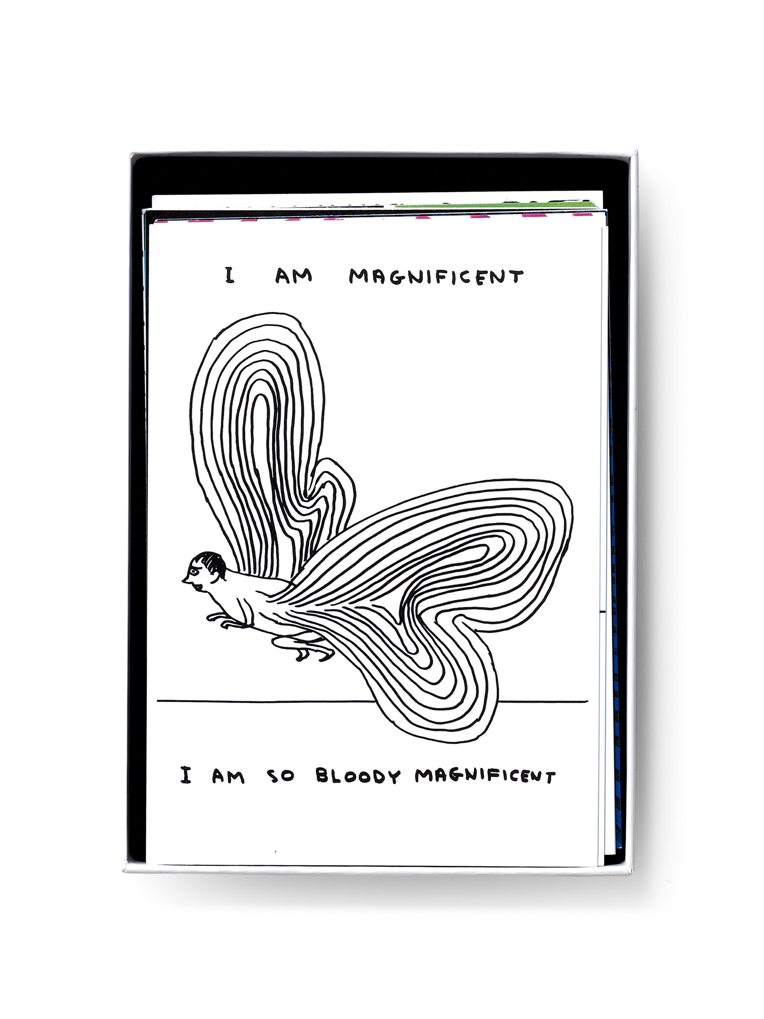 DAVID SHRIGLEY Postkartenset in Geschenkbox