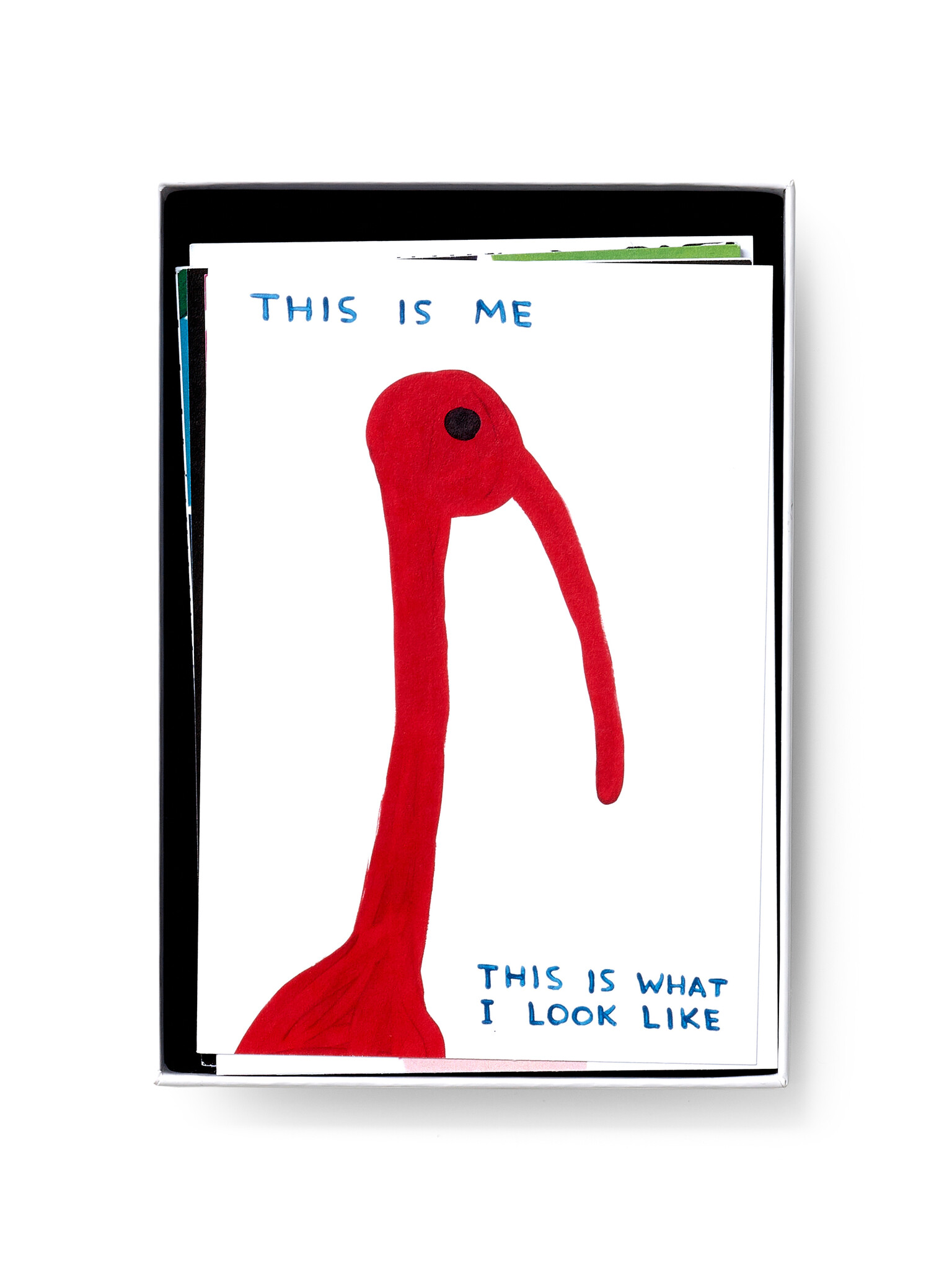 DAVID SHRIGLEY Postkartenset in Geschenkbox