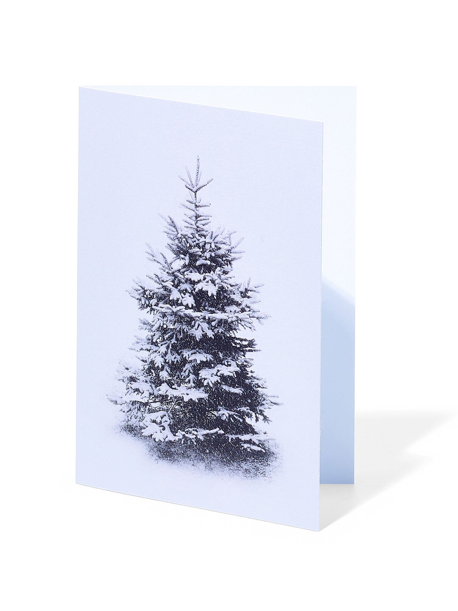 Doppelkarte Schneetanne