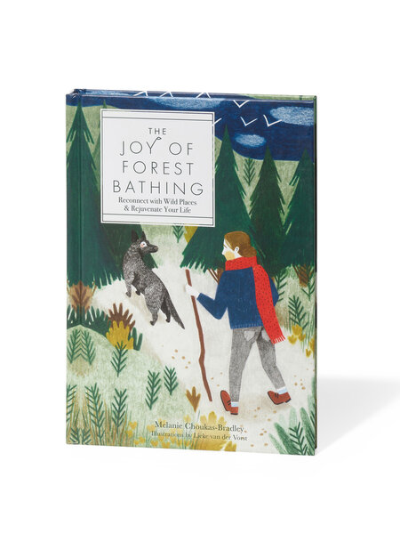The joy of forest bathing – ENGLISCH