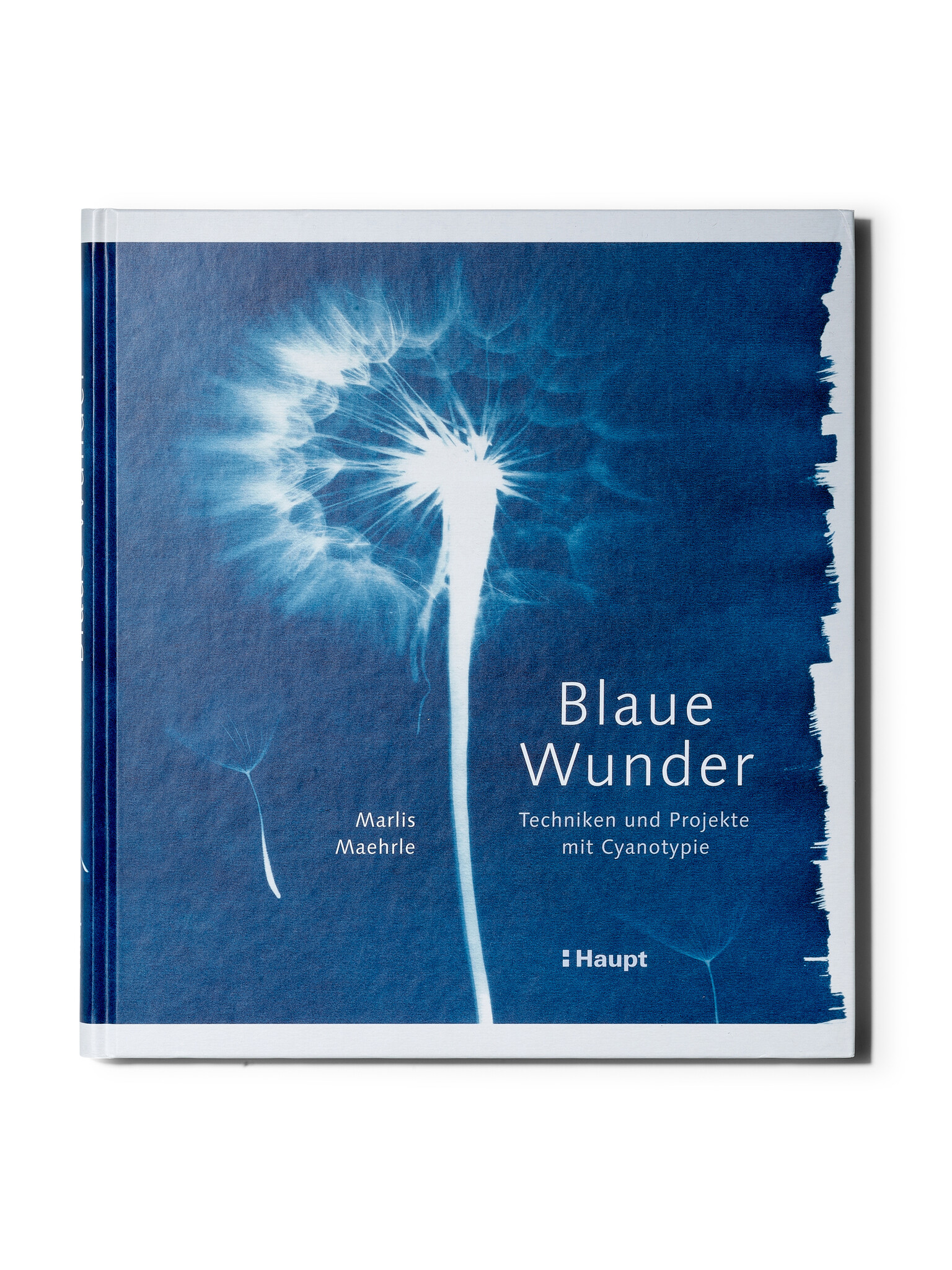 Blaue Wunder - Techniken und Projekte mit Cyanotypie