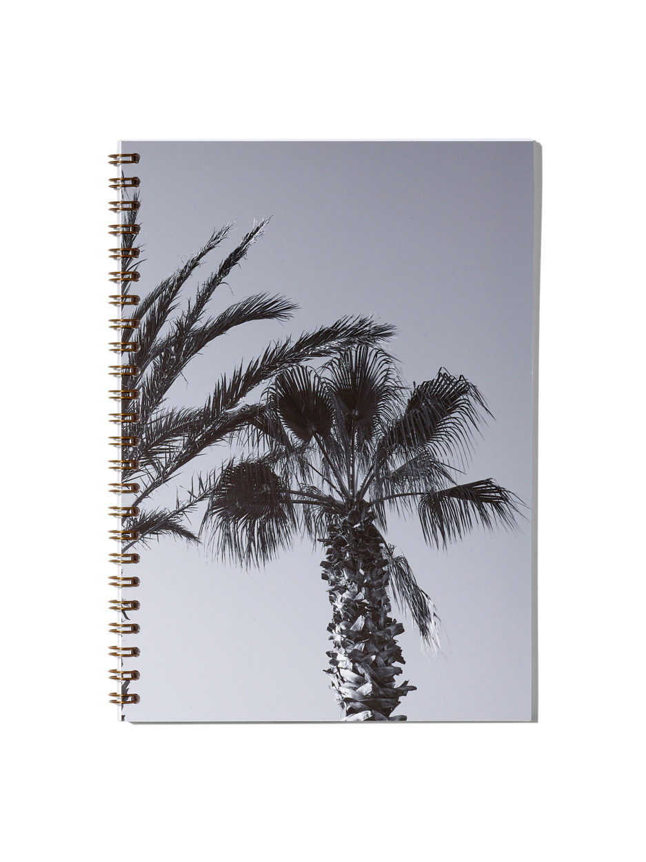 NOUVEL ÉTÉ Notizbuch / Carnet de notes – Club Tropicana, N°2, Fine Art Print