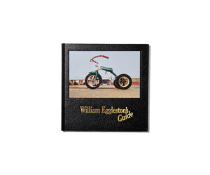 william-egglestons-guide.jpg